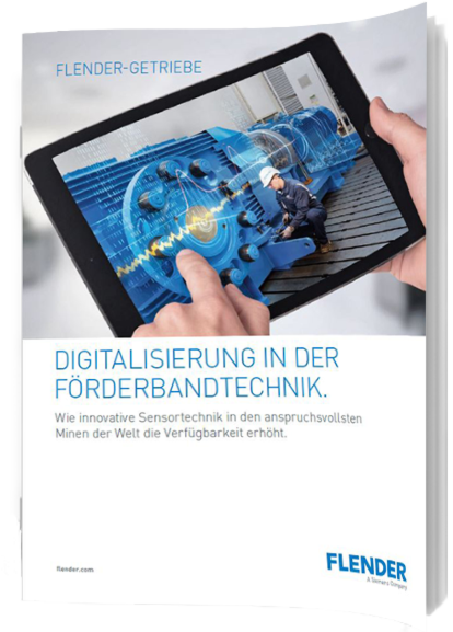 Whitepaper Cover: Flender GmbH