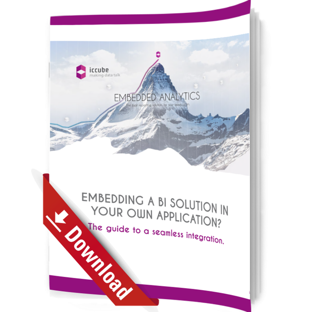 Whitepaper Cover: icCube