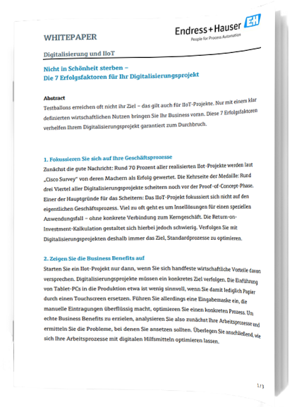 Endress+Hauser_Titelbild_WP