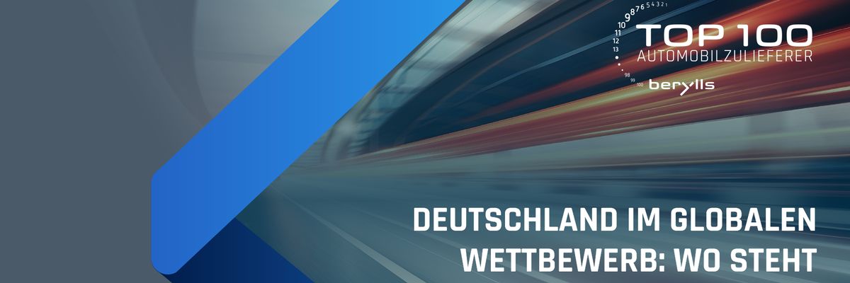 AI_Top100_Webtalk-2024 ()