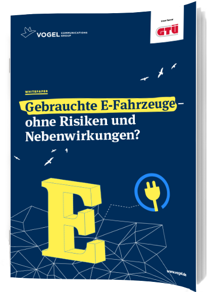 Gebrauchte E-Fahrzeuge - ohne Risiken und Nebenwirkungen?