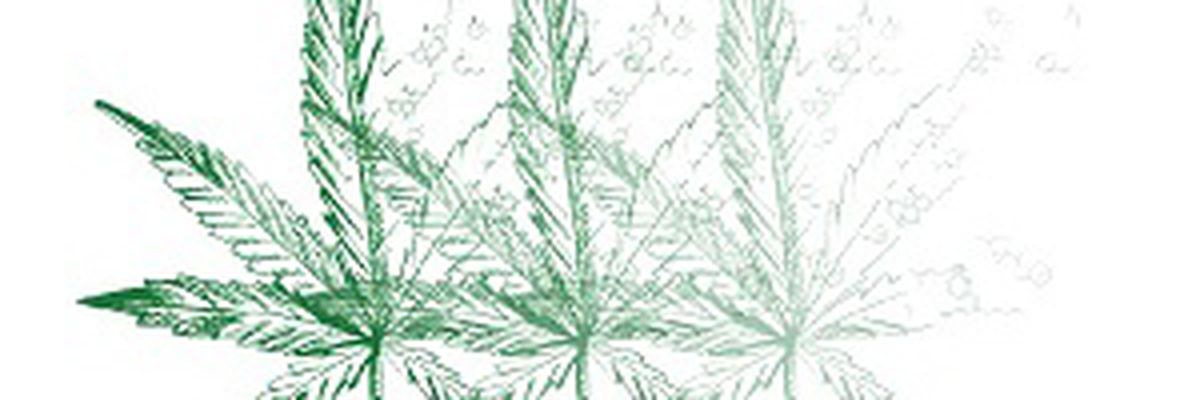 Webinar Listing: Shimadzu Deutschland GmbH ()