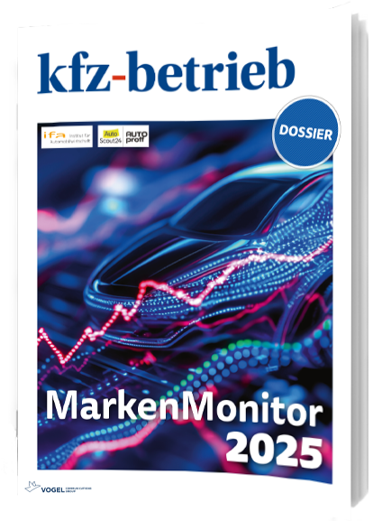 kb Dossier IfA MarkenMonitor 2025