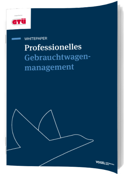 Whitepaper Cover: GTÜ