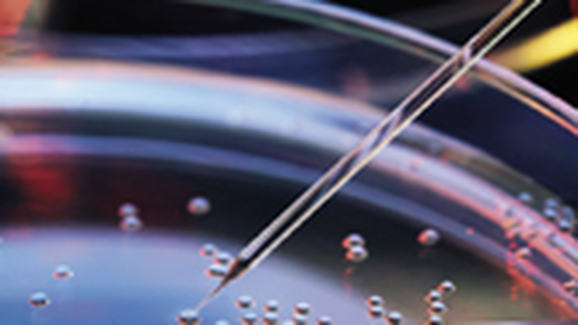 Webinar Listing: gettyimages