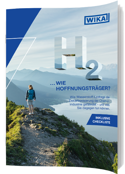 WIKA Titelbild Whitepaper