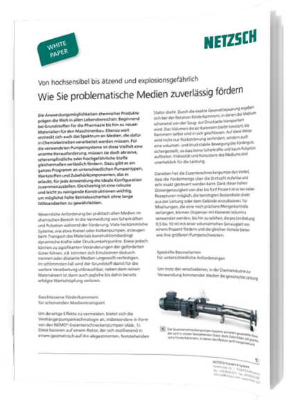 Whitepaper Cover: NETZSCH Pumpen & Systeme GmbH 