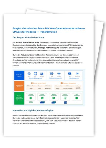 ITB_Sangfor_WP_AB408783_Titelbild